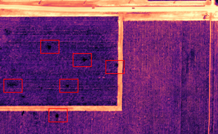 Micasense Altum多光譜/熱成像/RGB三合一遙感相機(jī),三合一的多光譜兼熱成像相機(jī),Altum是新型的革命三合一的多光譜兼熱成像相機(jī)--包含多光譜、熱成像、RGB，這款相當(dāng)于該集團(tuán)公司的新一代產(chǎn)品，技術(shù)更加先進(jìn)、搭載更加靈活。DLS2是新的光照傳感器，將DLS和GPS集成在一起，擁有先進(jìn)的輻照和太陽角度測量技術(shù)，它提供更準(zhǔn)確、可靠的數(shù)據(jù)，大大減少了后期處理的需要，大大提高了輻射測量精度，對(duì)于無人機(jī)的設(shè)置和搭載更加方便。