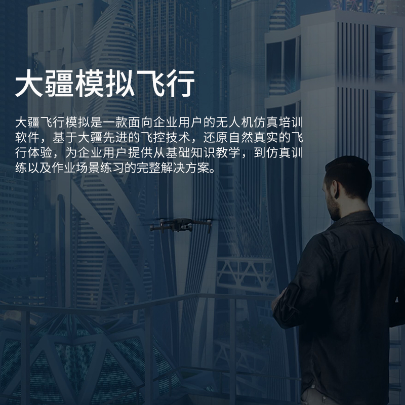 大疆飛行模擬軟件 企業(yè)版 電力版